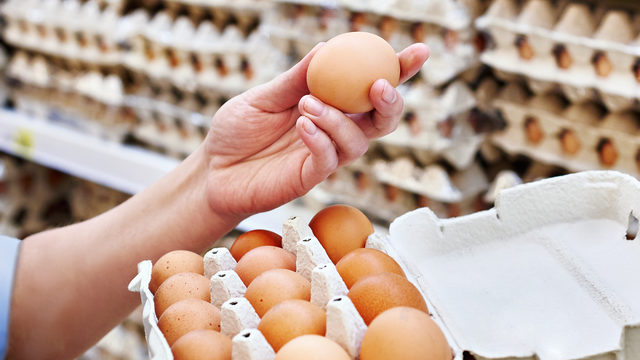 Новости Днепра про В Днепре в ближайшее время изменится цена на яйца: прогноз эксперта