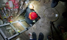 У Дніпрі двоє собак впали у занедбаний 3-метровий погріб: їх діставали рятувальники