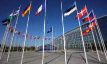 Напередодні саміту у Вільнюсі в НАТО погодились скасувати ПДЧ для України