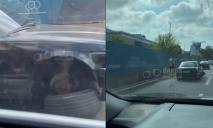 У центрі Дніпра у BMW відпало колесо: утворився затор (ВІДЕО)