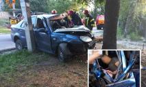 На Дніпропетровщині водій Geely не впорався з керуванням та врізався в дерево: його заблокувало в авто
