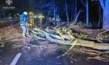 Дерево перегородило виїзд швидким: у ДСНС показали наслідки нічного “тайфуну” у Дніпрі та області (ФОТО)