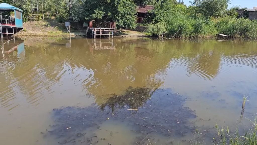 Новости Днепра про Вонь стоит уже неделю: жители Подгородного жалуются на загрязнение реки Кильчень