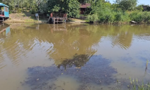 Сморід стоїть уже тиждень: мешканці Підгородного жаліються на забрудення річки Кільчень