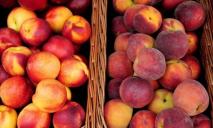 Різниця в ціні 30 грн: де у Дніпрі найдешевші персики та нектарини