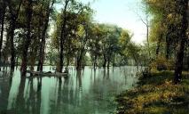 Що 100 років тому було на місці гребного каналу у Дніпрі: у воді росли дерева та водилися соми