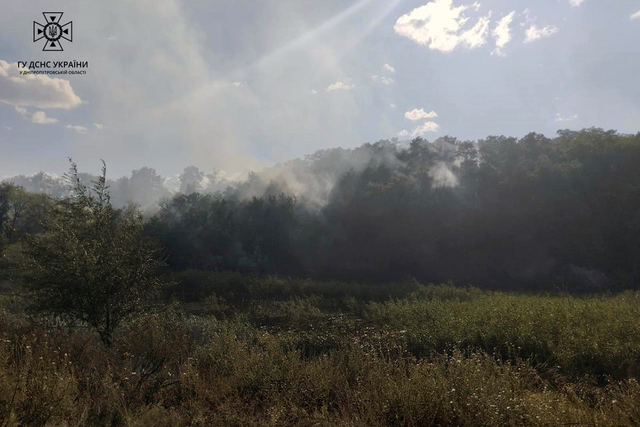 Новости Днепра про В Днепропетровской области загорелся лес