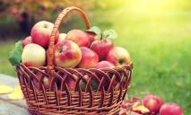 Яблучний Спас 2023: прикмети, що не можна робити та що означає свято