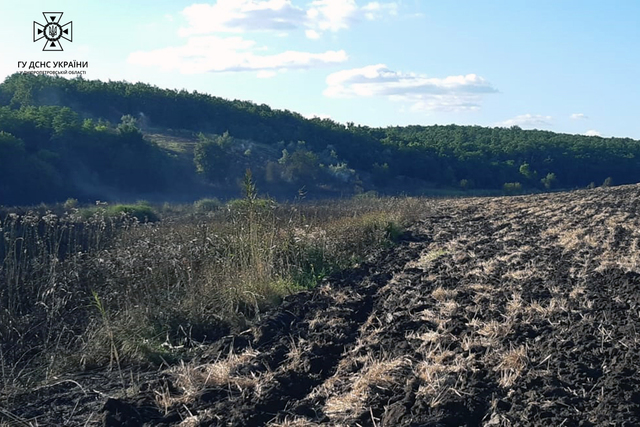 Новости Днепра про В Днепропетровской области загорелся лес