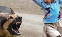 В Кривом Роге уличные собаки массово кусают детей