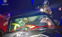 На Дніпропетровщині зіткнулися Chevrolet та автоцистерна: водій легковика опинився в пастці