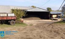 У Дніпропетровській області підприємець зібрав державне зерно і перепродав його за 3,5 млн