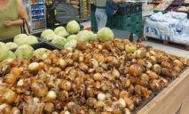 У Дніпрі знову “довоєнні” ціни на цибулю: чи зросте вартість базового овочу восени