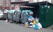 У Новомосковську на смітник викинули голову свині: місцеві в шоці