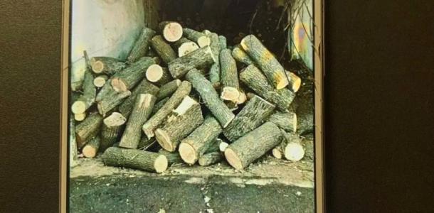 Продавал несуществующие дрова: на Днепропетровщине мужчина выманил 50 тыс. у доверчивых граждан