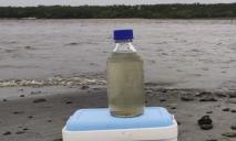 На дне обмелелого Каховского водохранилища нашли токсичные нитриты, которые «отравляют» воду — эколог