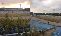 На трибунах выросли маленькие деревца: как сейчас выглядит стадион «Метеор» в Днепре (ФОТО)