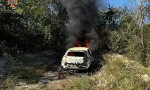 У Дніпрі вщент згоріла автівка, яка коштує понад пів мільйона гривень (ВІДЕО)