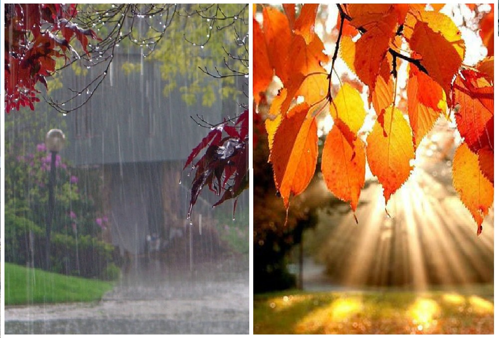 Новости Днепра про Дождь или солнце: какой будет погода в Днепре в выходные