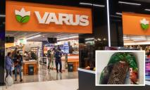 В Varus провели расследование относительно конфет с червями