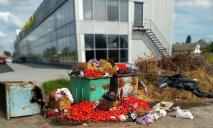 В Днепре на мусорку выбросили сто килограмм непроданных помидоров