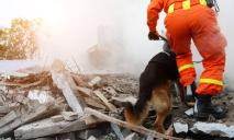 В Днепре на Кротова обрушилось складское здание: под завалами оказались люди