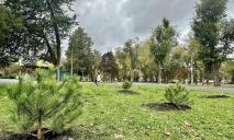 У Дніпрі в парку Глоби з’явився власний сосновий бір (ФОТО)