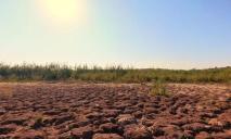В сети показали «марсианские пейзажи» на дне высохшего пруда в Кривом Роге