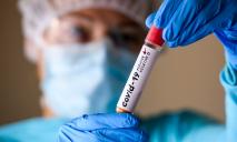На Днепропетровщине заболеваемость коронавирусом выросла на 93,5%, два человека умерли