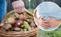 На Дніпропетровщині троє людей отруїлися грибами