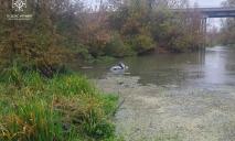 На Дніпропетровщині у річці втонув BMW: є загиблі