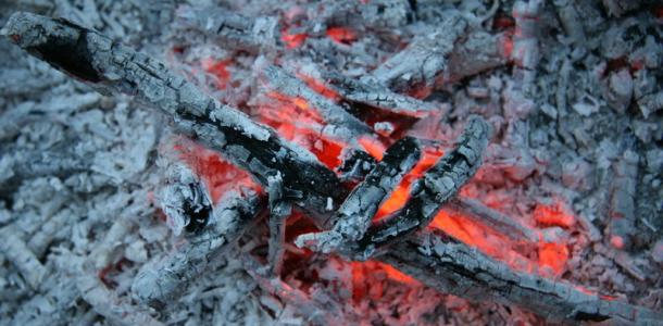 В Днепропетровской области 1,5-летний мальчик стал ногами в пепел и получил ожоги
