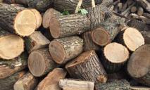 На Днепропетровщине мужчина «заработал» более 20 тыс. грн на несуществующих дровах