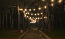 Десятки “світлячків”: у Дніпрі в одному із парків знову засяяла ретро-гірлянда (ФОТО)