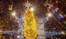 В Киеве установят главную елку страны: за чьи средства