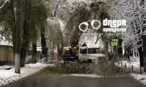 Об’їжджайте: у Дніпрі на Уральській величезна гілка впала на дорогу та заблокувала рух