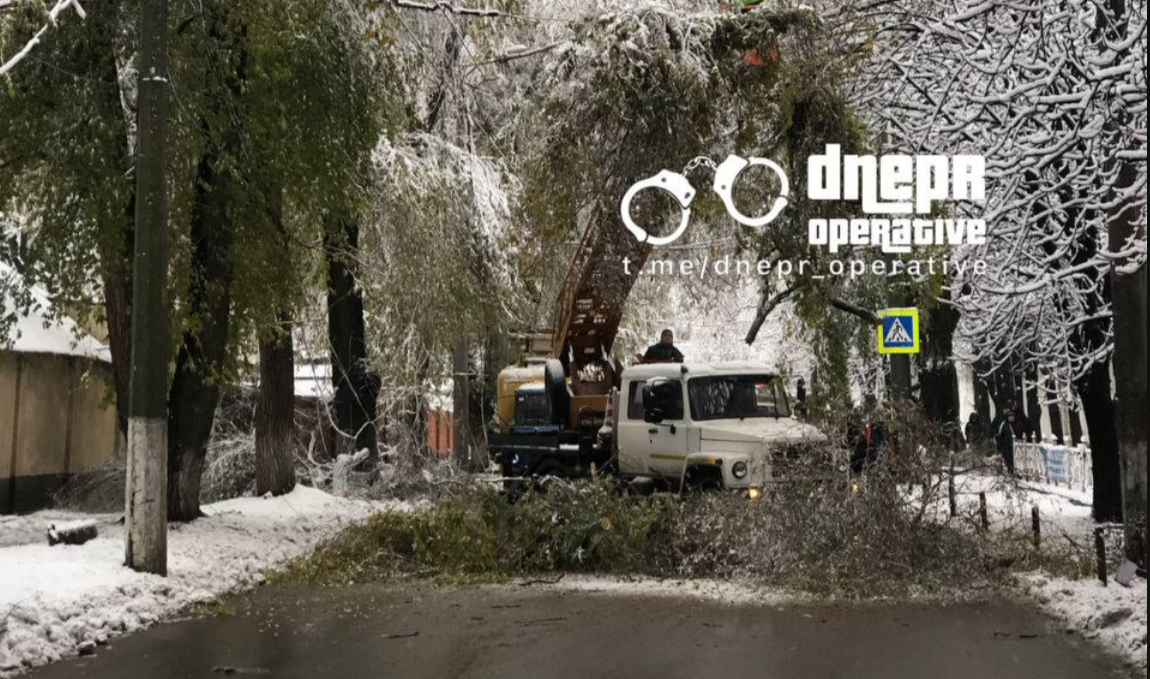 Новости Днепра про Об'їжджайте: у Дніпрі на Уральській величезна гілка впала на дорогу та заблокувала рух
