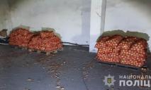 На Днепропетровщине бывший работник овощебазы ночью вынес оттуда 350 кг