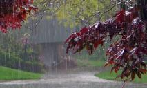 У вихідні в Україні прогнозують багато дощів: яка погода буде у Дніпрі