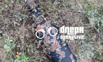На Дніпропетровщині грибники знайшли нерозірвані снаряди