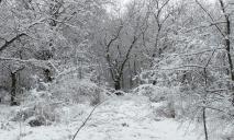 На Дніпропетровщині випала рекордна в Україні кількість снігу: скільки сантиметрів навалило і де
