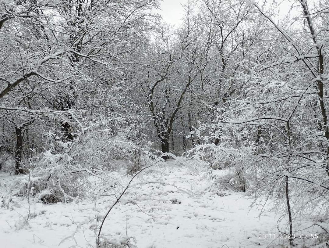 Новости Днепра про На Днепропетровщине выпало рекордное в Украине количество снега: сколько сантиметров навалило и где