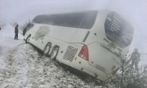 Снігопад в Одеській області: 50 ДТП за добу, повалені дерева, знеструмлені населені пункти