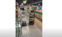 Повстання машин в АТБ: у Дніпрі в супермаркеті працює робот (ВІДЕО)