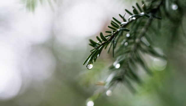 Новости Днепра про Погода на 18 грудня: у Дніпрі очікується дощ