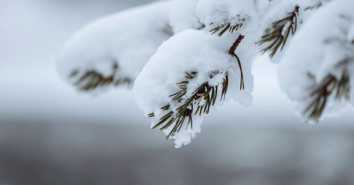 Новости Днепра про Погода на 7 декабря: в Днепре ожидается снег