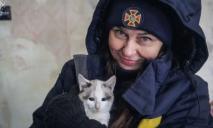 5 котов полтавской «Робинзонки Крузо», 21 год жившей на безлюдном острове, нашли приют в Днепре