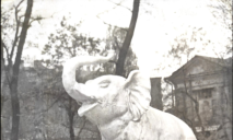 Раньше в центре Днепра стоял огромный слон: в сети опубликовали редкое фото