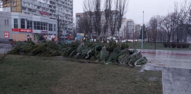Жителей Днепра и области призвали проверять елки на радиационную чистоту: в чем дело