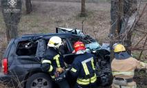 На Днепропетровщине на трассе произошло смертельное ДТП: водитель не справился с управлением